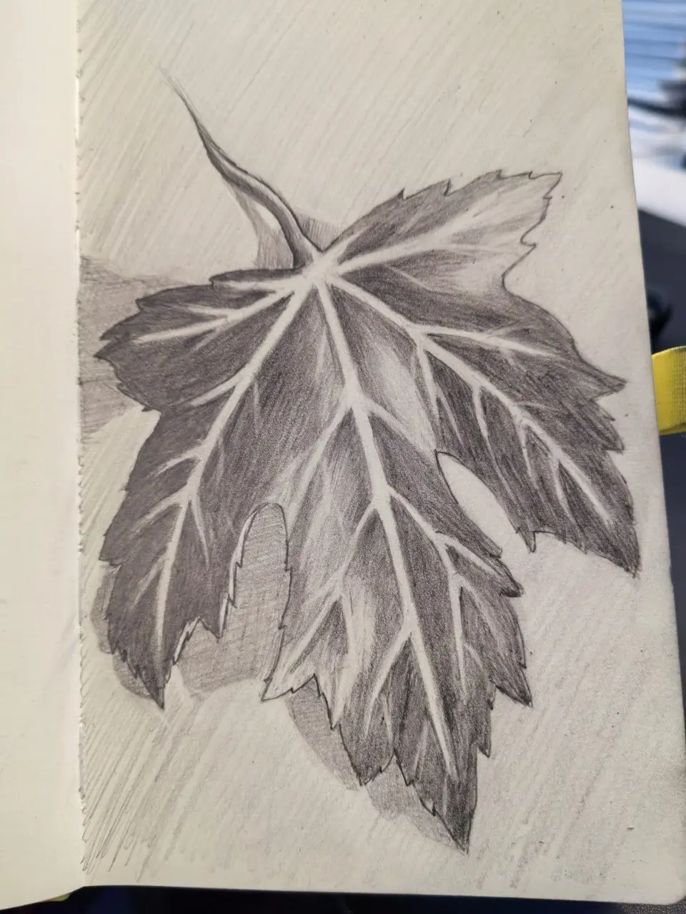 Сегодня среда❗❗
И в даннос случае не середина рабочей недели. Радует только то, что следующая неделя короткая | Сетка — социальная сеть от hh.ru