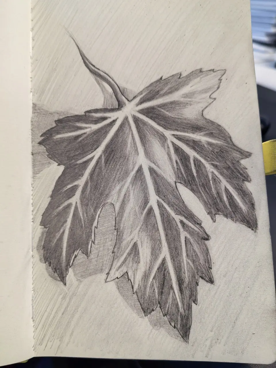 Сегодня среда❗❗
И в даннос случае не середина рабочей недели. Радует только то, что следующая неделя короткая | Сетка — социальная сеть от hh.ru