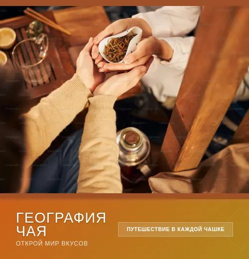 Реклама. Информация о рекламодателе по ссылке: https://ya | Сетка — социальная сеть от hh.ru