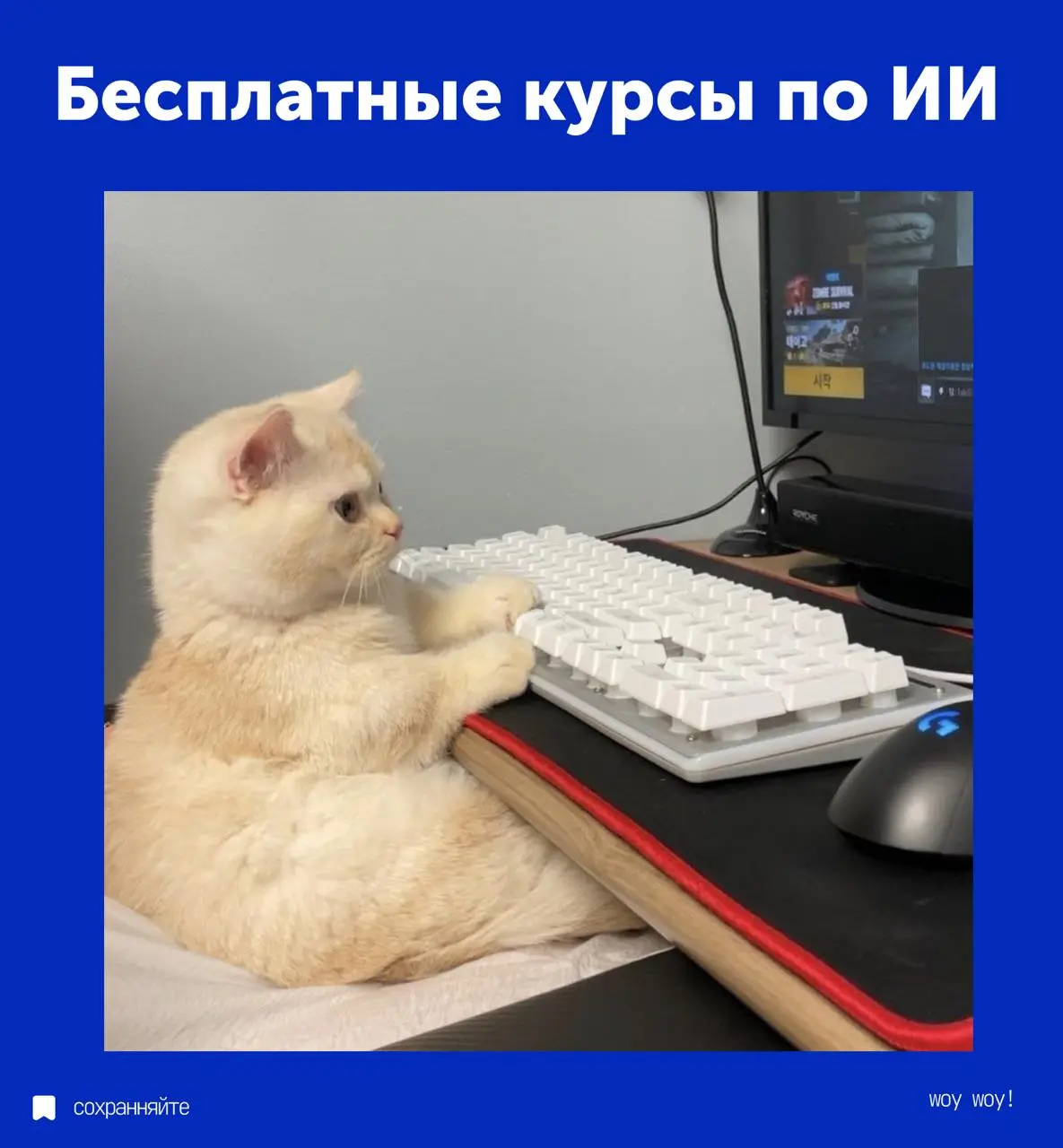 Ни для кого не секрет, что в 2025 году ключевая компетенция - это умение работать с нейросетями, мы уже выкладывали мини-урок на эту тему, а теперь копнули глубже и делимся с вами подборкой бесплатных... | Сетка — социальная сеть от hh.ru