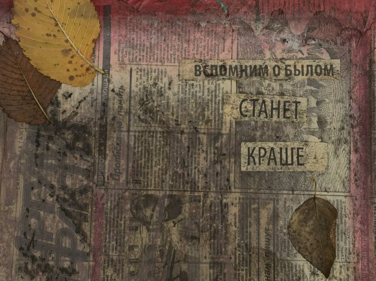 Не могу нарадоваться на новую обложку на паспорт 🍂 🤩 | Сетка — социальная сеть от hh.ru