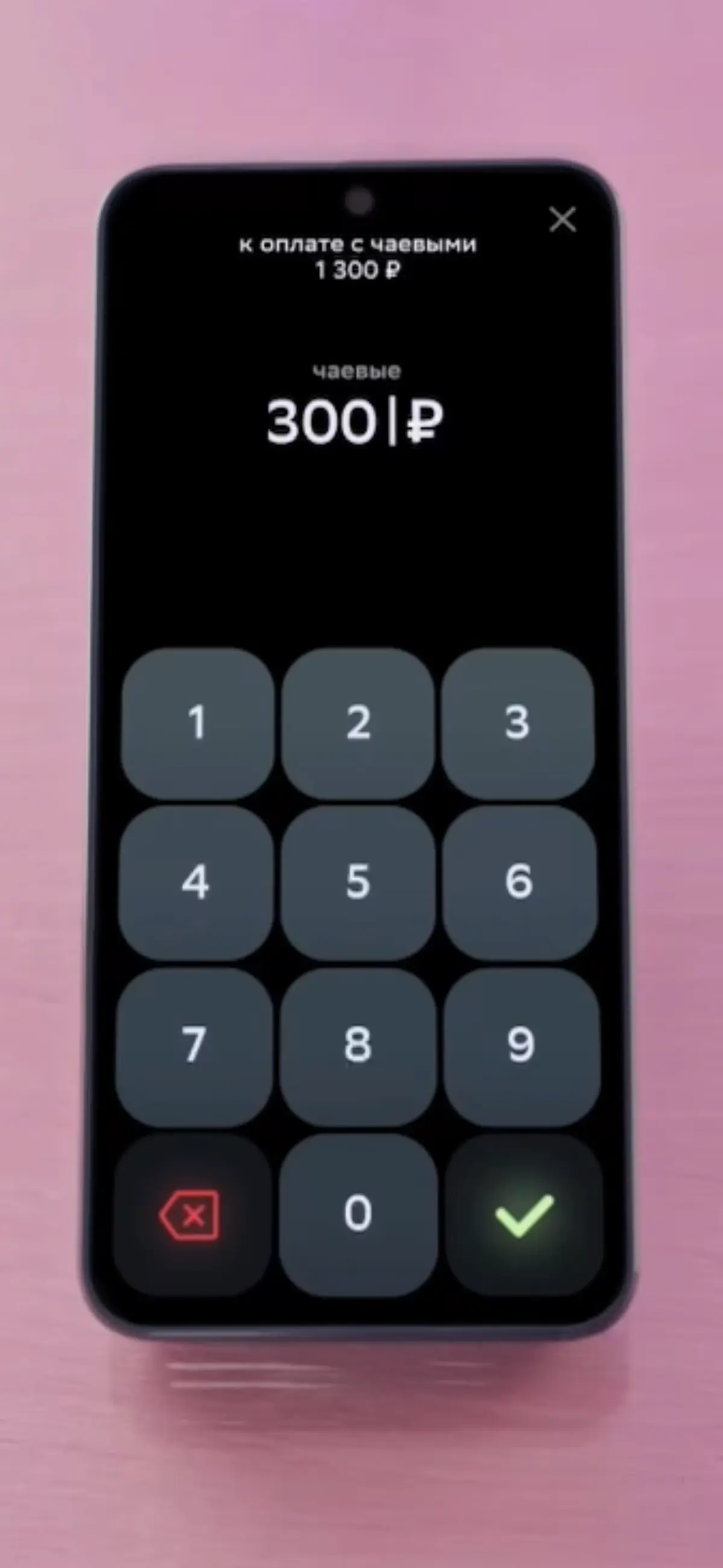 Сбербанк научил терминалы собирать чаевые и отзывы  для 2ГИС | Сетка — социальная сеть от hh.ru