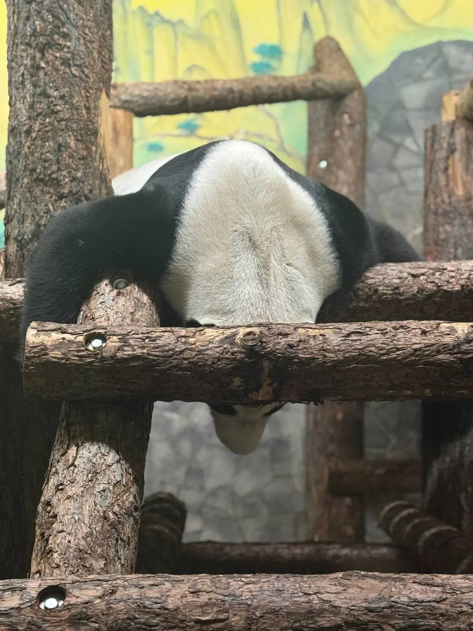 🐼Жуи в поисках выходных
📲Подпишитесь на Вдвижении
#активныйотдых
В этом посте были ссылки, но мы их удалили по правилам Сетки | Сетка — социальная сеть от hh.ru