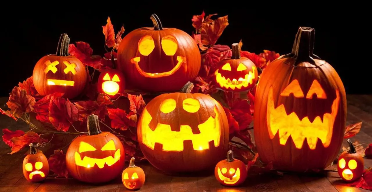 ЖУТКО весело! Хэллоуин в "Баловнях" 🎃
Друзья, запасайтесь смелостью! С 31 по 2 в «Баловнях Судьбы» — настоящая Хэллоуинская вечеринка.
Ждём вас по адресу: Большая Пушкарская, 6 | Сетка — социальная сеть от hh.ru