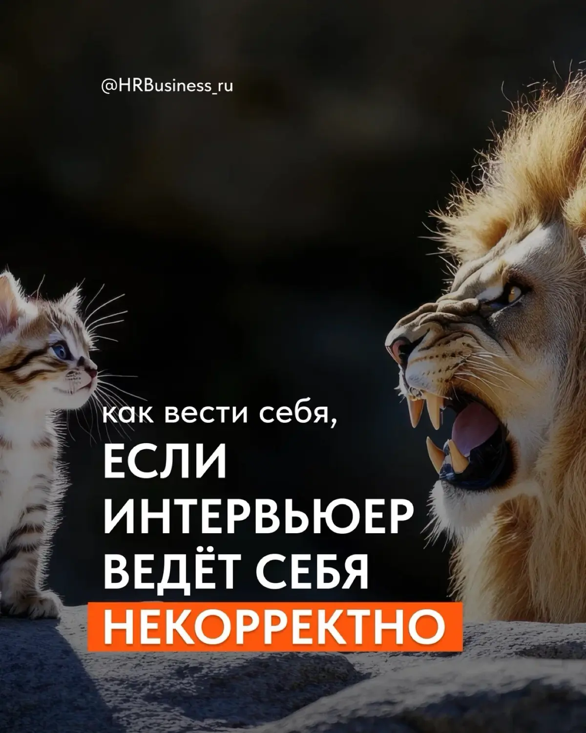 КАК ВЕСТИ СЕБЯ, ЕСЛИ ИНТЕРВЬЮЕР ВЕДЁТ СЕБЯ НЕКОРРЕКТНО | Сетка — социальная сеть от hh.ru