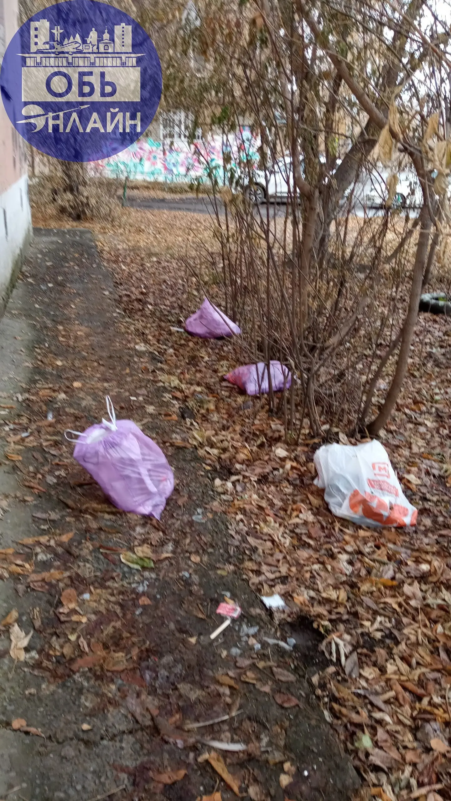↗ 😡🤬Этому " Деду Морозу" или кто ОНО, "посох" бы переломать в трёх местах за такие подарки! Ул. М. Горького.
vk.ru
Подробнее на https://vk.com/ob.gorod
#городобь #городобьонлайн #толмачево | Сетка — социальная сеть от hh.ru