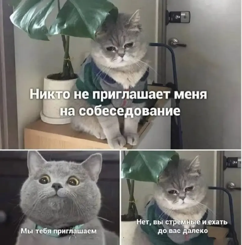#interview | Сетка — социальная сеть от hh.ru