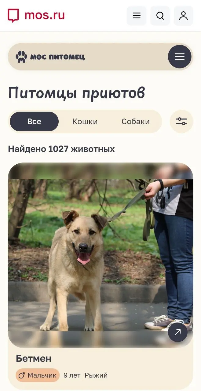 В Москве запустили сервис подборки животных — Моспитомец. Он расположен на официальном сайте мэра, и это гигантский каталог хвостатых и усатых из 13 городских приютов | Сетка — социальная сеть от hh.ru