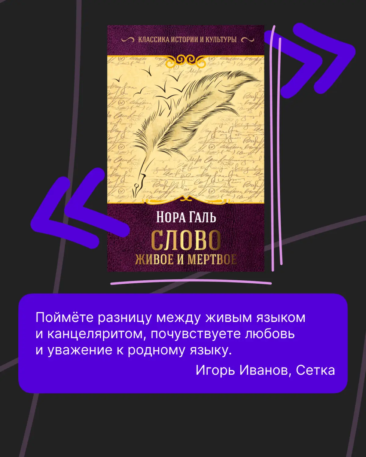 Что почитать в 2025 году: подборка от Сетки и Литрес | Сетка — социальная сеть от hh.ru