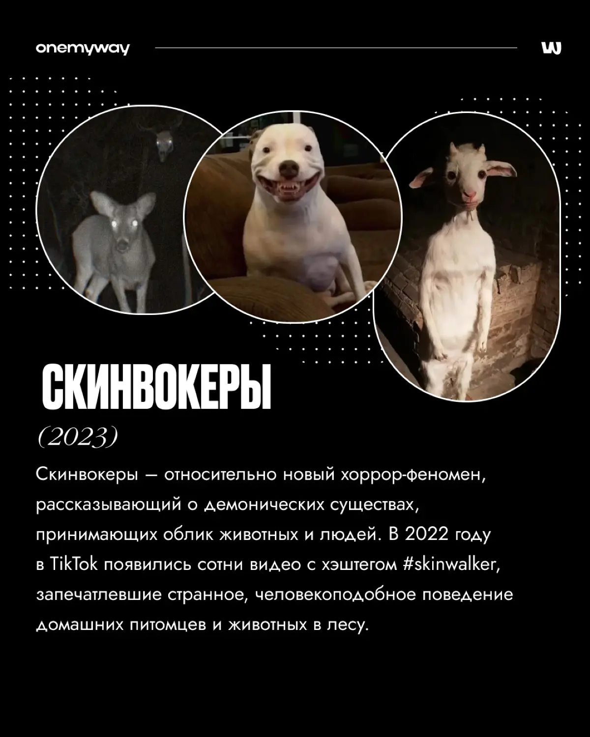 Страшные тренды в интернете 2009-2025 | Сетка — социальная сеть от hh.ru