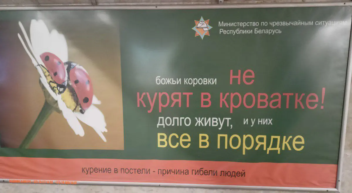 Божьи коровки не курят в кроватке | Сетка — социальная сеть от hh.ru