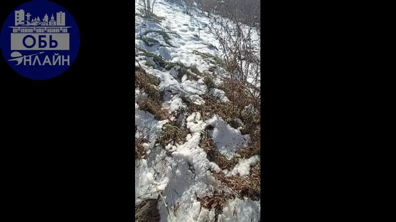 ↗ Пеший путешественник обустроил берлогу в лесополосе города Оби. Быть добру!
vk.ru
Подробнее на https://vk.com/ob.gorod
#городобь #городобьонлайн #толмачево | Сетка — социальная сеть от hh.ru