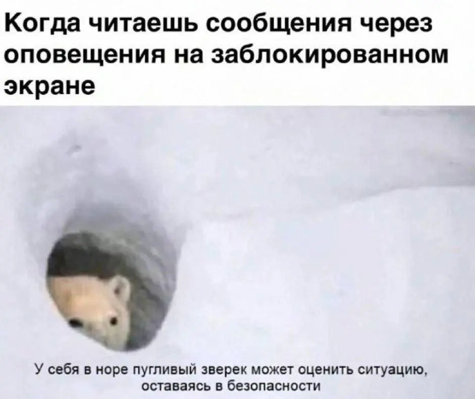 Было? 😄 | Сетка — социальная сеть от hh.ru