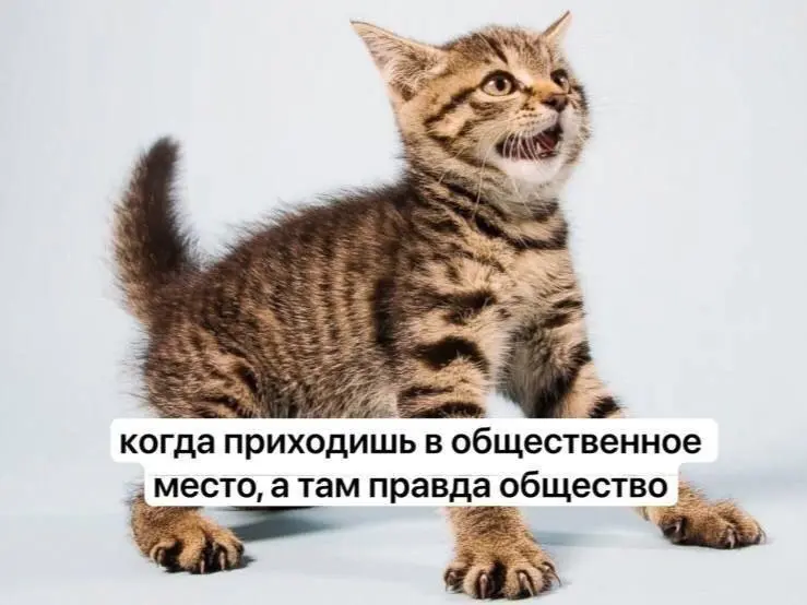 Рилсовая зависимость | Сетка — социальная сеть от hh.ru