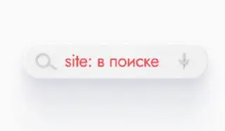 Ваш сайт в поиске или нет? Проверяем индексацию за 5 минут
Даже идеально оптимизированный сайт не принесёт трафика, если страницы не проиндексированы поисковиками.
ipos | Сетка — социальная сеть от hh.ru