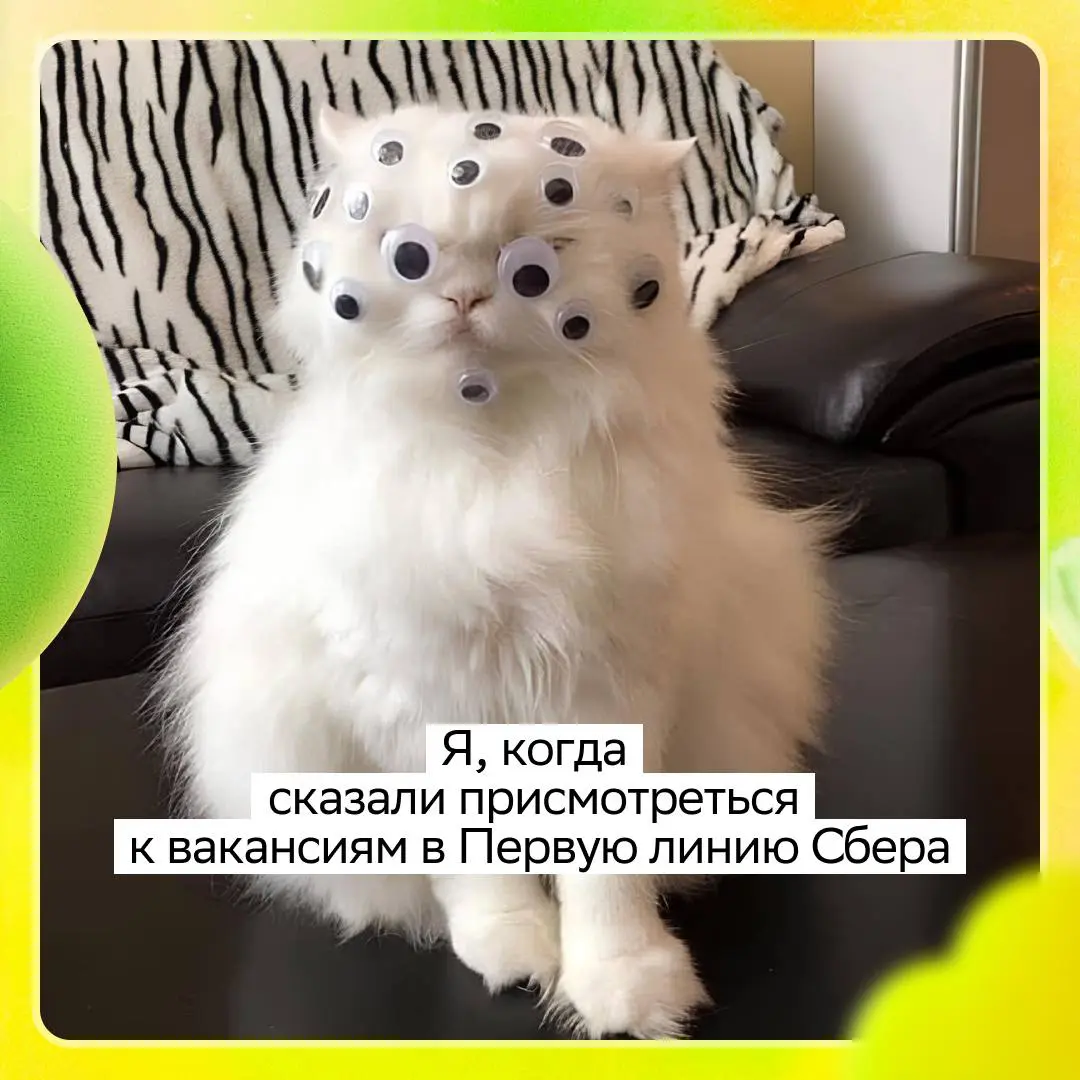 Присмотрелся… Разглядел мощный карьерный старт для тех, кто без опыта, команду экспертов и яркую корпоративную жизнь | Сетка — социальная сеть от hh.ru