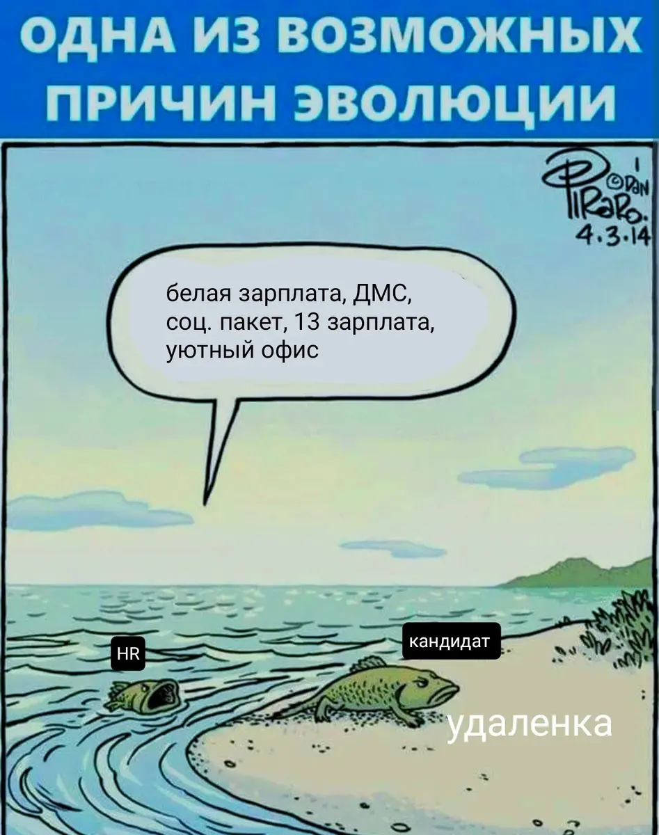 100% | Сетка — социальная сеть от hh.ru