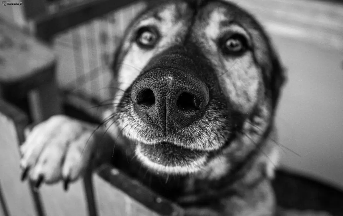 Плёночные воспоминания. | Сетка — социальная сеть от hh.ru