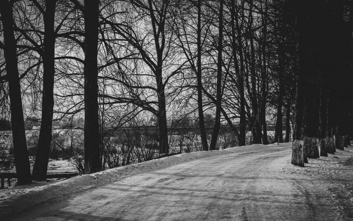 Плёночные воспоминания. | Сетка — социальная сеть от hh.ru