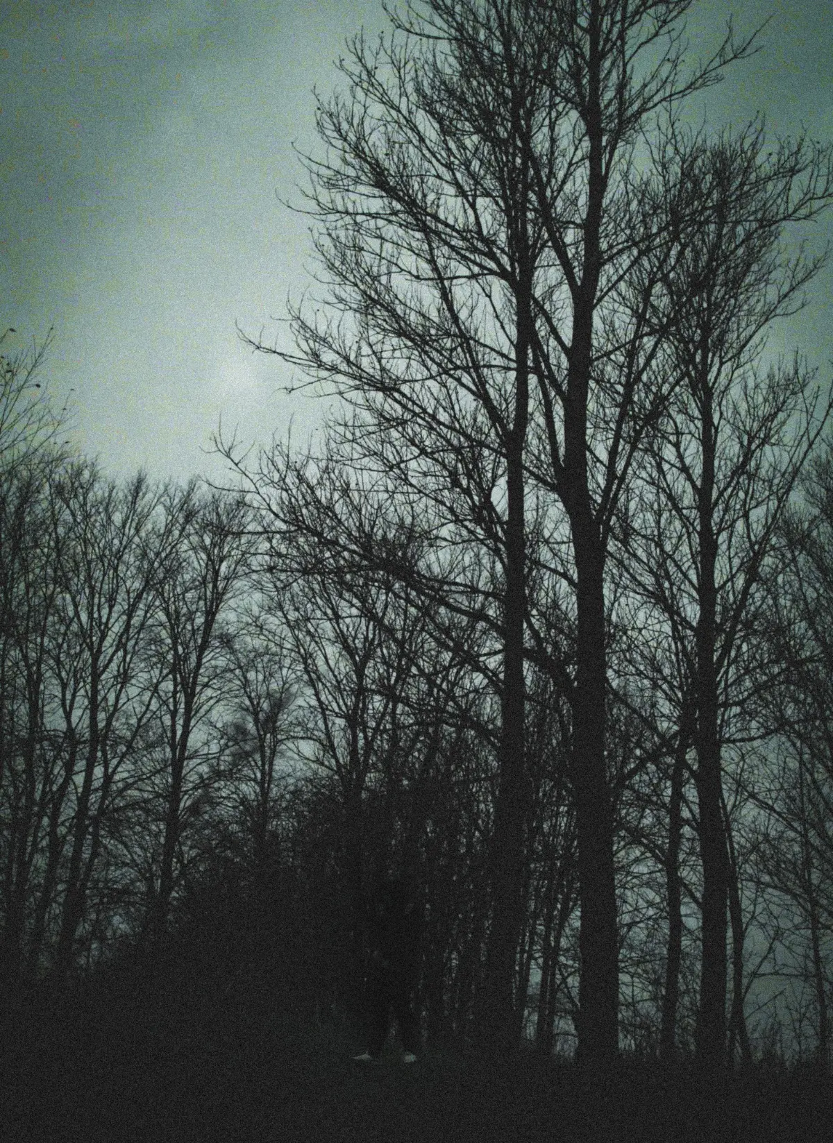 Плёночные воспоминания. | Сетка — социальная сеть от hh.ru