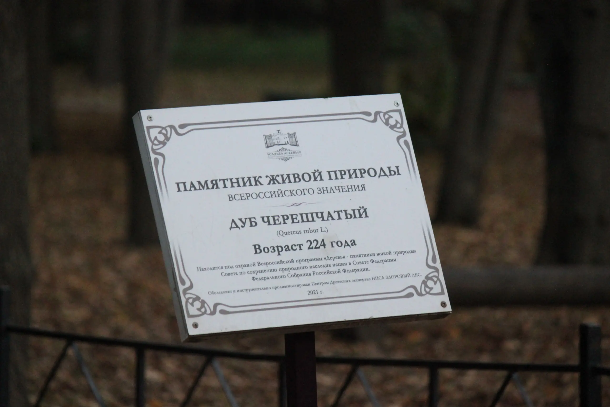 Прогулка по усадьбе Асеева. В 2011 году начал фотографировать, решил вспомнить "как это". Что интересно, очень сильно пахнет грибами, даже одного охотника удалось сфотографировать. | Сетка — социальная сеть от hh.ru