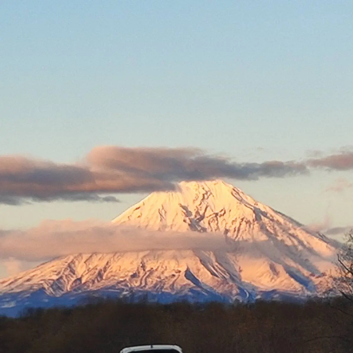 Владимир Пкрвых | Сетка — социальная сеть от hh.ru