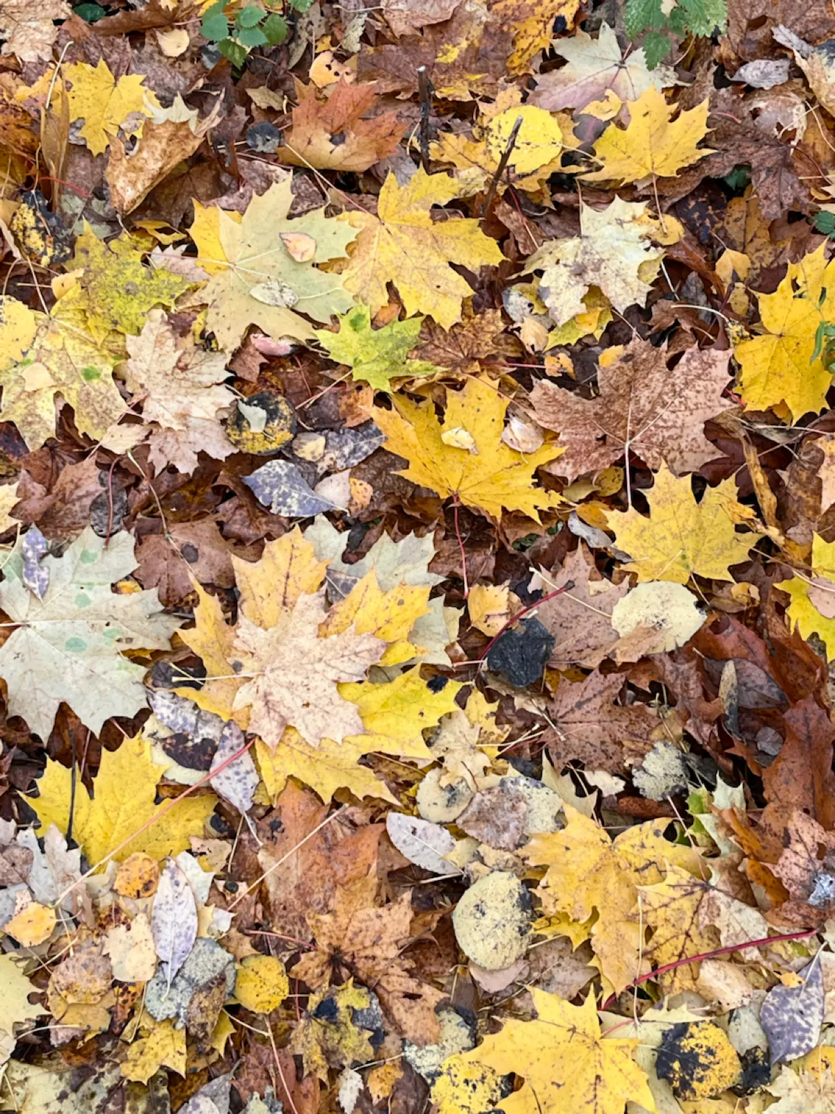 ЗАВЕРШАЕМ ОКТЯБРЬ | Сетка — социальная сеть от hh.ru