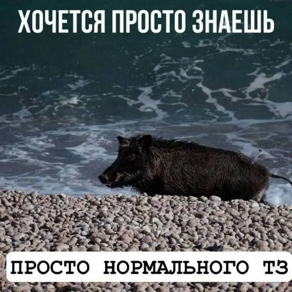 А чего хочется вам?
Пишите в комментариях! | Сетка — социальная сеть от hh.ru