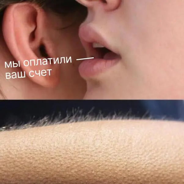 #мысли
У меня в личку достаточно часто спрашивают, в чем главный кайф фриланса/блогинга и я всегда говорю: свобода. Свобода выбирать проекты, свобода не сидеть в офисе, свобода быть себе боссом | Сетка — социальная сеть от hh.ru