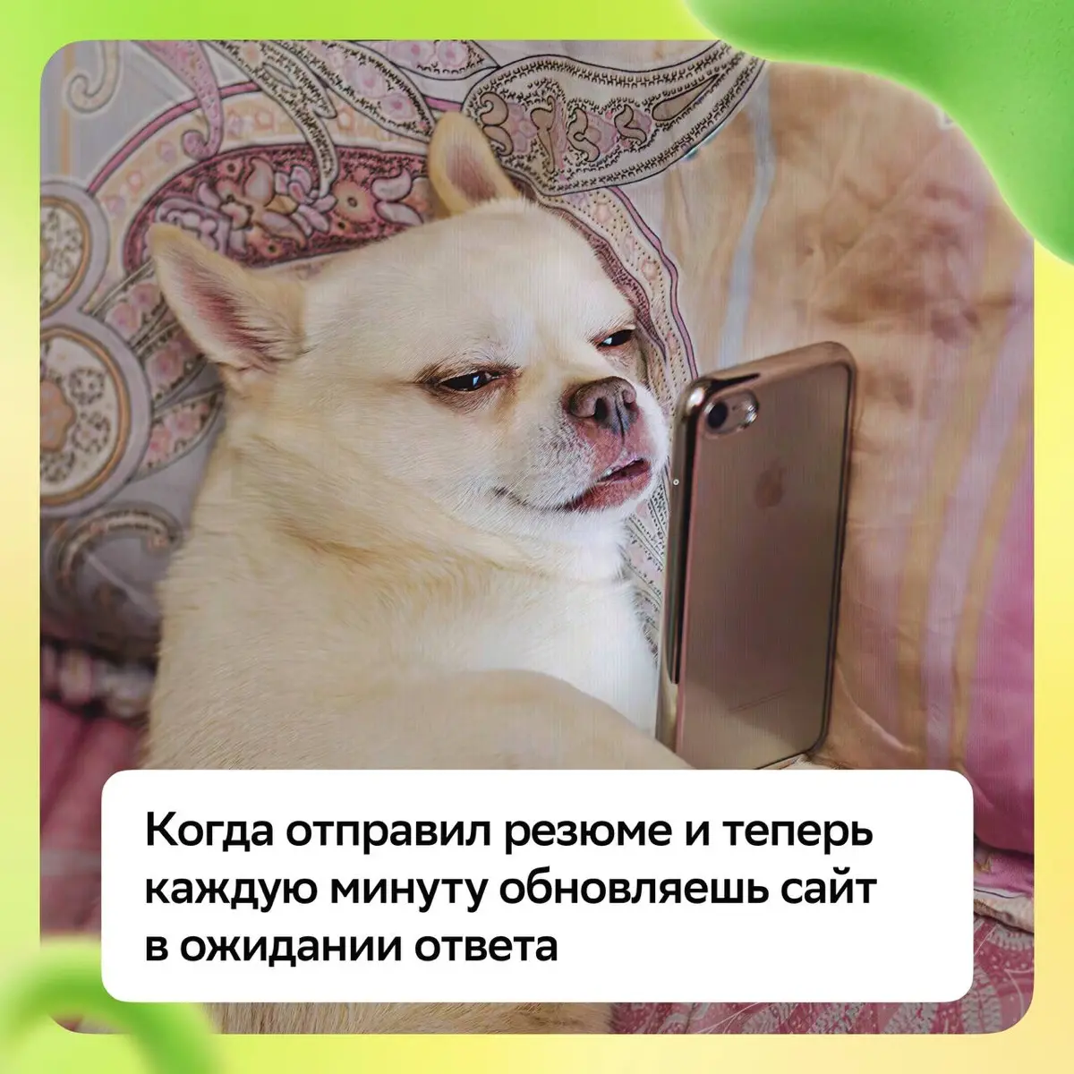 Ты не один в ожидании: мы тоже каждую минуту обновляем страницу, чтобы увидеть твой отклик!
Если ещё не отправил резюме, скорее действуй:
• NLP Engineer со знанием и опытом в Reinforcement Learning 12... | Сетка — социальная сеть от hh.ru