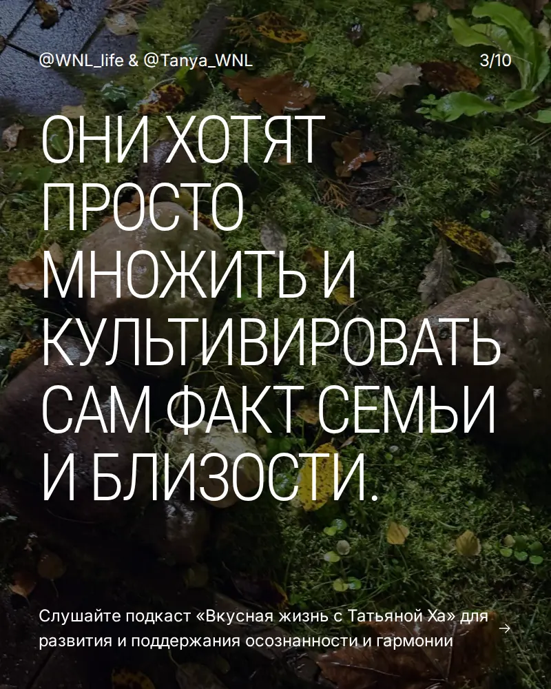 Путешествуя по жизни, я заметила 3 типа людей. | Сетка — социальная сеть от hh.ru
