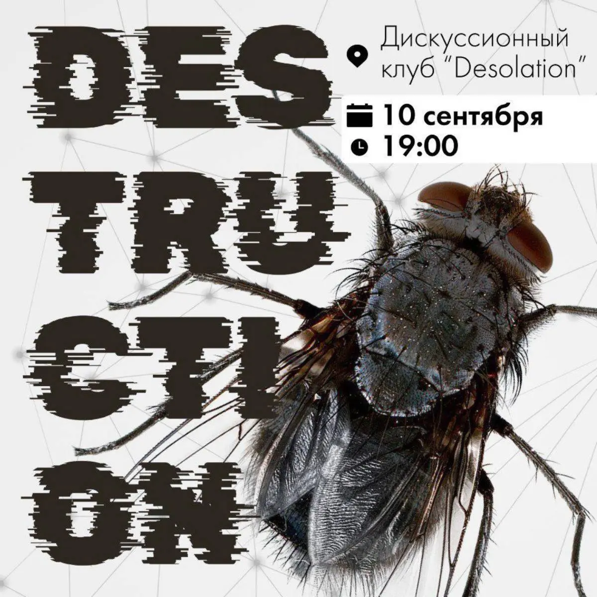 Снежана Павлинова