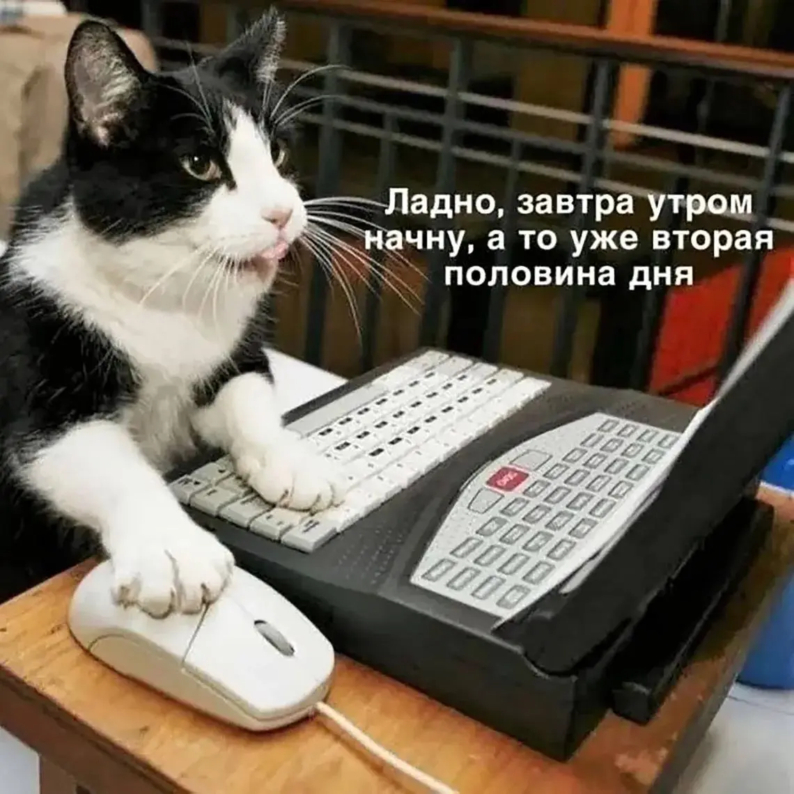 Мемная пятница 🤡
Жду вас в комментах 👌 | Сетка — социальная сеть от hh.ru