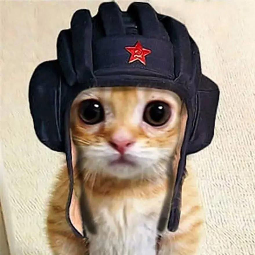 Иван Лис