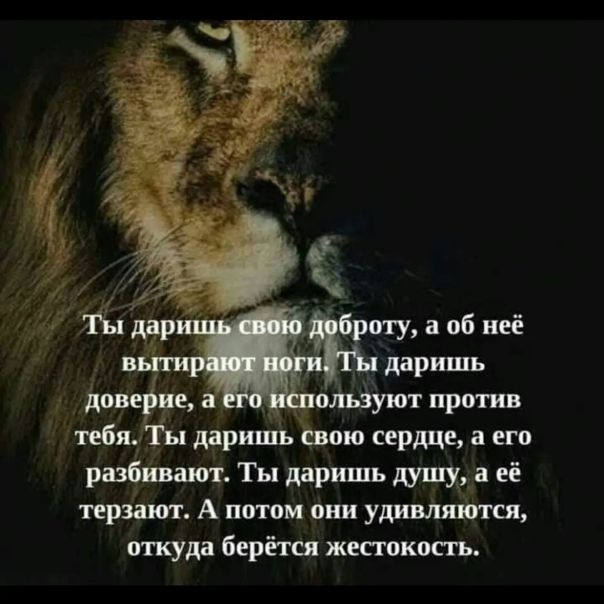 Александр Кутузов