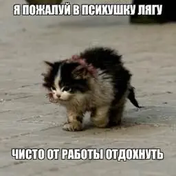 🧘‍♀️ “Психдиспансер — новый ретрит?” | Сетка — социальная сеть от hh.ru