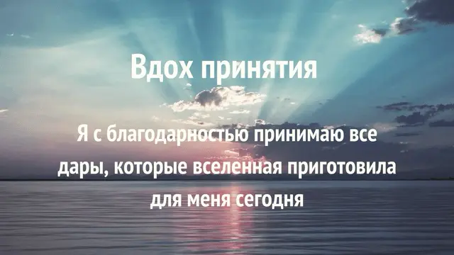 Благодарите вселенную | Сетка — социальная сеть от hh.ru
