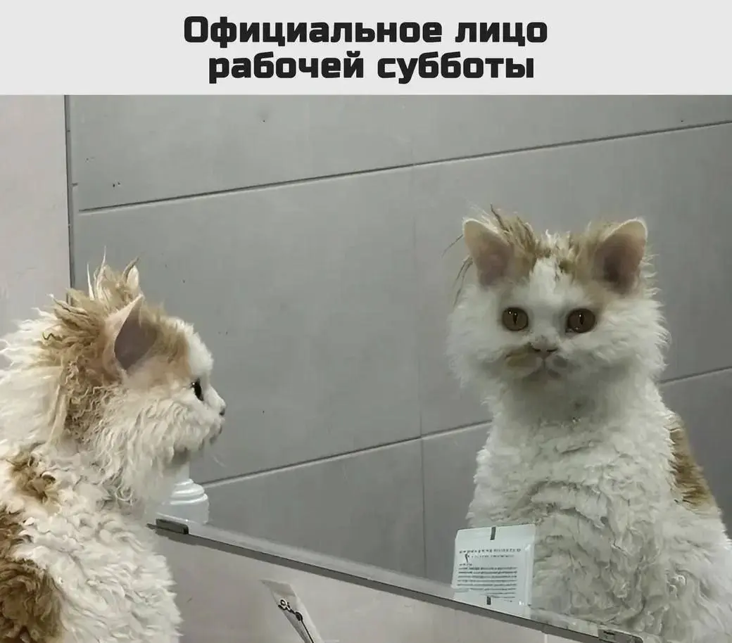 Не смотря на то, что сегодня суббота, рабочая неделя продолжается... зато впереди длинные выходные!🤩
Прогноз погоды на 1 ноября:
🌡 температура воздуха +12.. | Сетка — социальная сеть от hh.ru