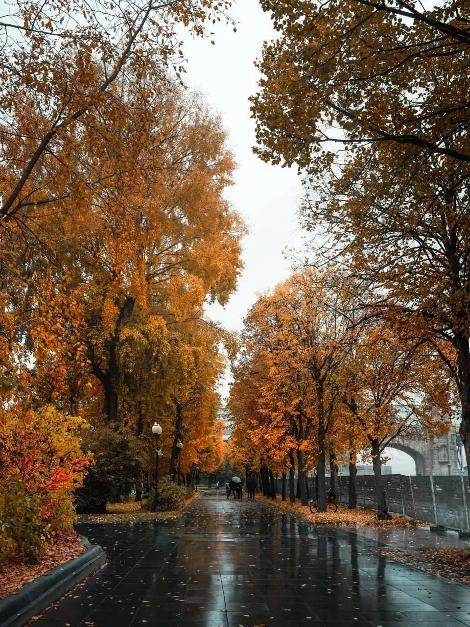 🌧️Дождливая осень в парке Горького
📲Подпишитесь на Вдвижении
#активныйотдых
В этом посте были ссылки, но мы их удалили по правилам Сетки | Сетка — социальная сеть от hh.ru