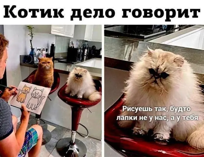 О - Обратная связь 😂
#Юмор@poldner #Коты@poldner | Сетка — социальная сеть от hh.ru