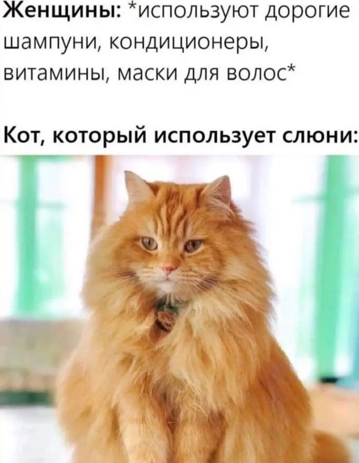 6ти-дневка как? Вывозите? Ловите мемы. Дальше три дня выходных и трёхдневка.😎 | Сетка — социальная сеть от hh.ru