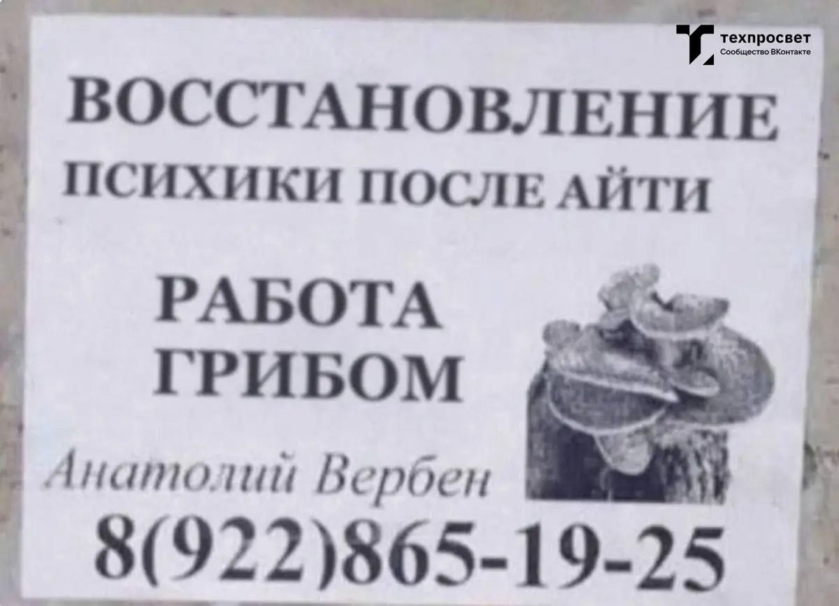 6ти-дневка как? Вывозите? Ловите мемы. Дальше три дня выходных и трёхдневка.😎 | Сетка — социальная сеть от hh.ru