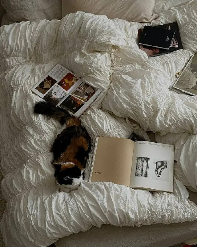 Смотрите какая спасательная обработка на айфоне🎞️🪄
Если фотография получилась не очень удачной по свету или немного размазано, то такой утемняющий фильтр поможет скрыть все лишнее🤎
#фильтры | Сетка — социальная сеть от hh.ru