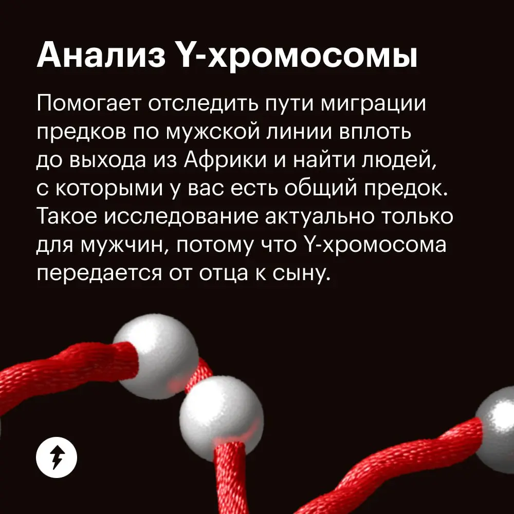 🧬 ДНК-тест — один из проверенных способов заглянуть в историю своего рода | Сетка — социальная сеть от hh.ru
