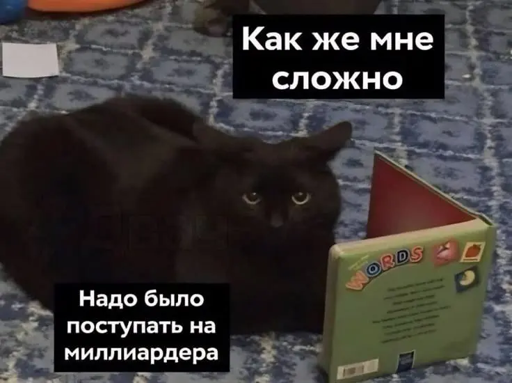 Рабочая суббота! Правда, замечательно?
Предлагаю сегодня не упарываться по работе и пойти отдыхать пораньше.
Но раз у компа, напишите.. | Сетка — социальная сеть от hh.ru