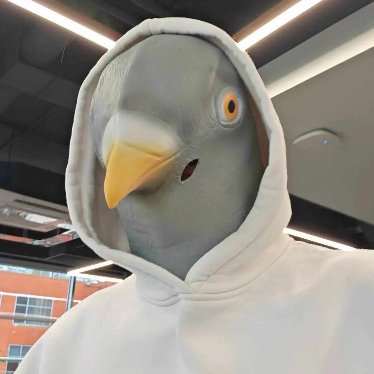 Сергей Широбоков | Сетка — социальная сеть от hh.ru