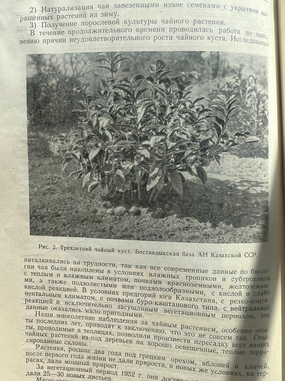 Некоторое время назад, рассказывая об опытах по выращиванию чая в Казахстане, я, комментируя фотографию из советской чайной книжки, написал следующее | Сетка — социальная сеть от hh.ru
