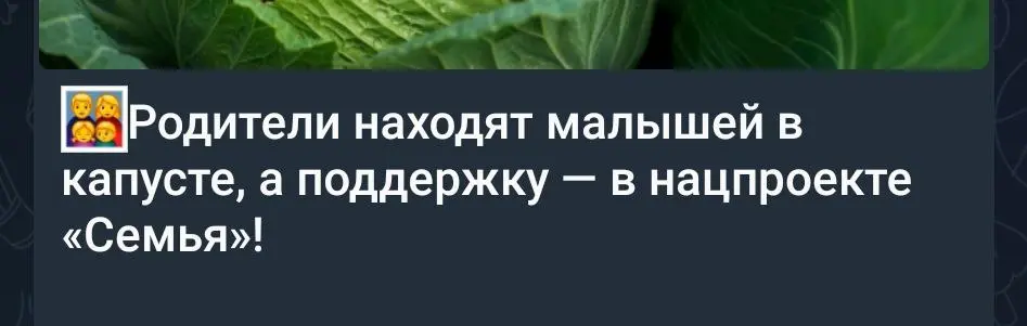 Придумали классную метафору? Прочтите текст ещё раз.
🙈
А то получится, что в нацпроекте нет никакой поддержки.
~
За #текстами
Иди в избу
В этом посте были ссылки, но мы их удалили по правилам Сетки | Сетка — социальная сеть от hh.ru