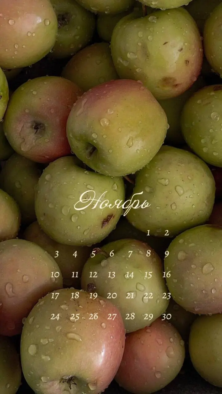 Смотрите какая красивая подборка календариков получилась🥠🥛🍂
Всего календарей 10
Тщательно подбирала фоны, как-то немного уже устали глаза от тыкв и жёлтых листьев, хотелось чего-то менее привычного | Сетка — социальная сеть от hh.ru