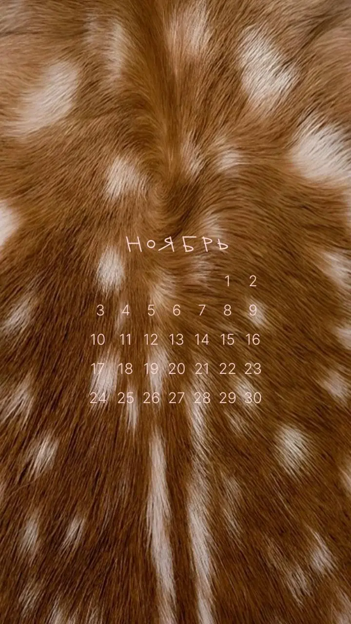 Смотрите какая красивая подборка календариков получилась🥠🥛🍂
Всего календарей 10
Тщательно подбирала фоны, как-то немного уже устали глаза от тыкв и жёлтых листьев, хотелось чего-то менее привычного | Сетка — социальная сеть от hh.ru